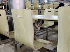 大堂-东华大学第一食堂(松江校区店)