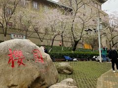 -武汉大学-樱园