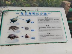 -广东惠东海龟国家级自然保护区