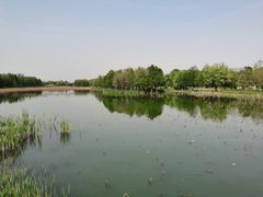 -苏州东太湖生态园