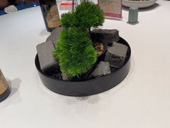 -柴米油盐(土菜院子店)