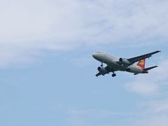 -空港花田景区
