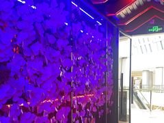 -蛙来哒(汇一城黑金冠店)