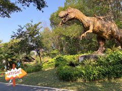 -森波拉奇妙世界