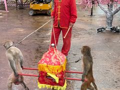 -中国马镇舞马世界主题乐园