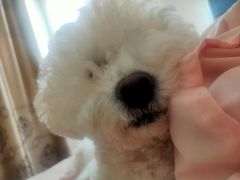 -北京恒爱动物医院(清景园分院)