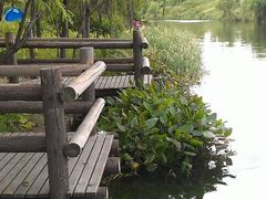 -新江湾城公园