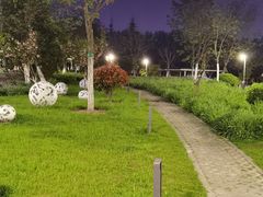 -四里河滨水生态公园