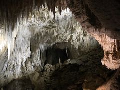 -怀托摩萤火虫洞