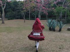 -晓港公园