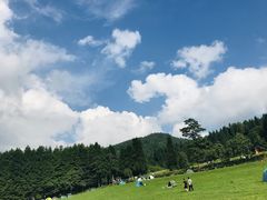 -武陵山森林公园