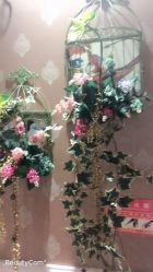 点击看大图 -芳朵美容养生SPA