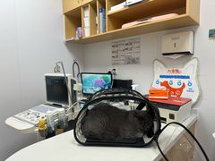-艾贝尔宠物医院·宠保定点·超声绝育·免疫点(樱花路店)