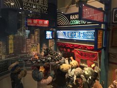 -济州岛泰迪熊博物馆