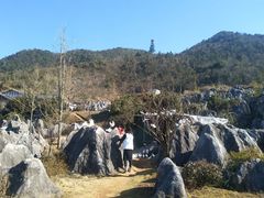 -千岛湖石林