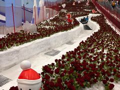 -广州热雪奇迹