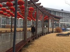 -东海森林温泉度假酒店