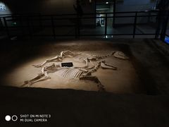 -洛阳周王城天子驾六博物馆