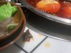 -巴隆门重庆老火锅(太湖路店)