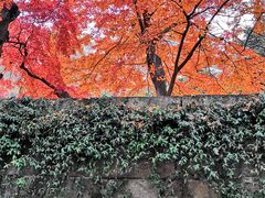 -青岛崂山太清宫