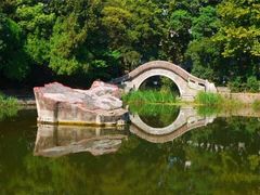 -江湾体育中心游泳馆