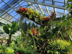 -国家植物园南园