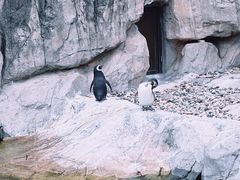-上海野生动物园