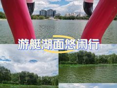 -莲花池公园