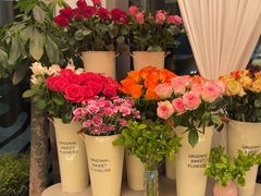 -龟兹KUCINA·新疆菜(前滩L+PLAZA店)
