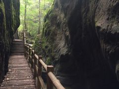 -牛背梁国家森林公园