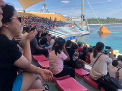 -秦皇岛乐岛海洋王国