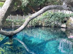 -蝴蝶泉公园