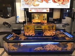 -蟹道乐(道顿堀本店)