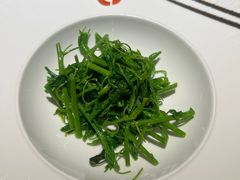 -觀芷隐轩