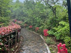 -东海半边山旅游度假区