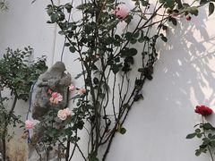-美味之家·湖景农家乐(太湖东山店)