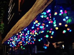 -城墙外BAR