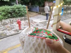 -深圳野生动物园