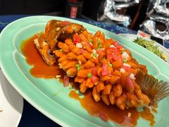 -西湖春天(中州店)