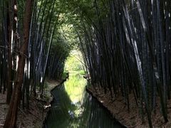 -同里国家湿地公园