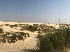 -库伦旗银沙湾旅游景区