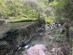 -十九峰景区-倒脱靴