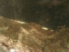 -吕氏疙瘩汤·私家菜馆(慈云寺店)