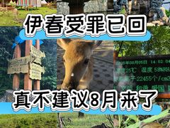 -五营红松林海景区