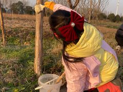 -九善农植有机生活农场