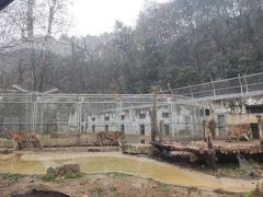 -黔灵山公园