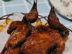-石岐乳鸽村(桥观坊南四巷店)