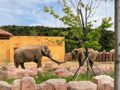 -沈阳森林动物园