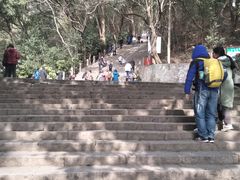 -上海佘山国家森林公园东门地面停车场