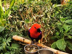 -南宫五洲植物乐园